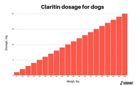 Claritin Dosage for Dogs (Handy Chart & Effects Included)