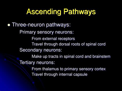 PPT - ASCENDING PATHWAYS PowerPoint Presentation, free download - ID:472721