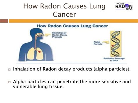 Radon Facts : The Health Risks & Solution