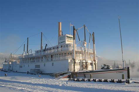 Yukon Winter Visitor | Dog Mushing, Snowshoeing, Northern Lights ...