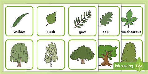 Trees and Leaves Match Up Game -games, activities, matching