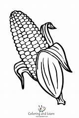 Printable Corn Coloring Page sketch template
