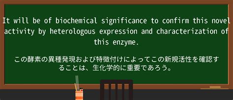 【英単語】heterologous expressionを徹底解説！意味、使い方、例文、読み方