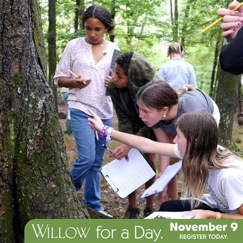 Willow For A Day - The Willow School