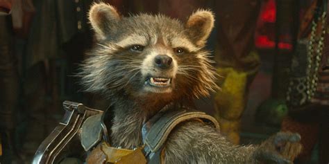 Avengers 3: Rocket Raccoon Doesn't Care For Superheroes