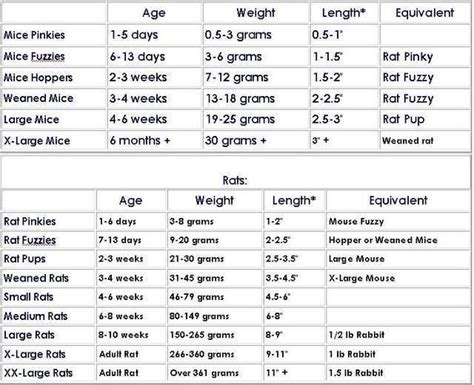 Bearded Dragon Food Chart \x3cb\x3ebearded dragon feeding schedule chart\x3c/b\x3e image gallery ...