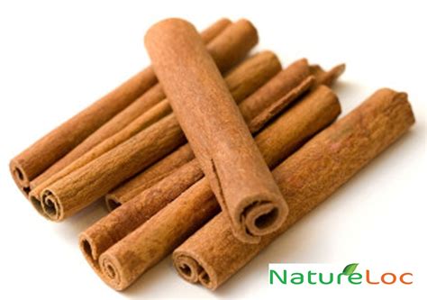 The spice from South India – Cinnamon (Dalchini / Karuvapatta) for aroma & healthy living ...