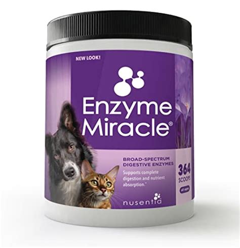 5 Best Dog Digestive Enzymes of 2024 | Pango Pets