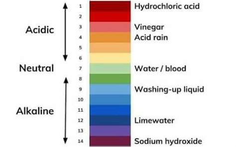 Sodium Hydroxide Ph Chart