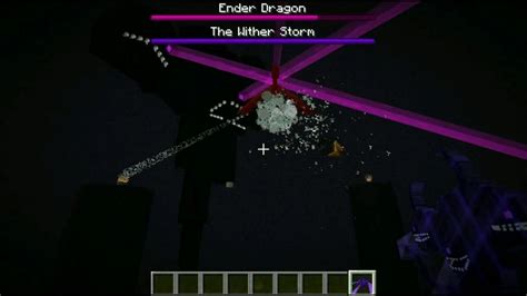 Ender Dragon Mutant Wither Ender Dragon Mutant Minecraft Pictures Perhaps the wither can get ...