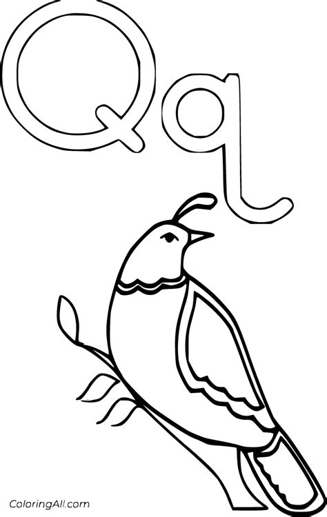 Letter Q Coloring Pages (26 Free Printables) - ColoringAll