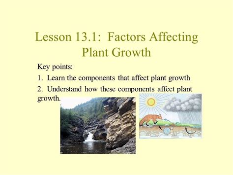 Unit 2 Lesson 13.1 Factors Affecting Plant Growth - YouTube