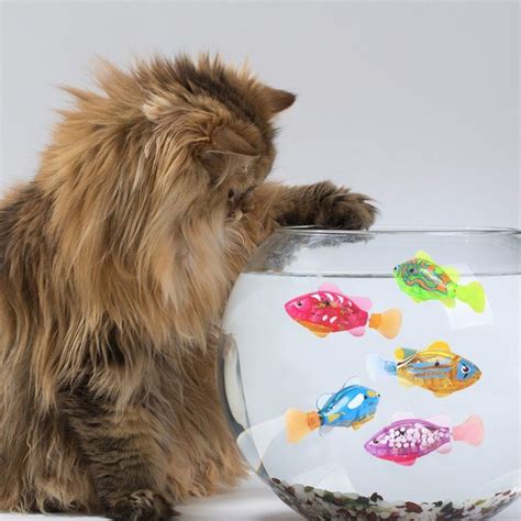 Electronic Robot Fish for Cats & Kids | Cat kids, Cat lovers, Cool cats