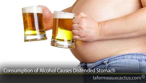 Consumption of Alcohol Causes Distended Stomach