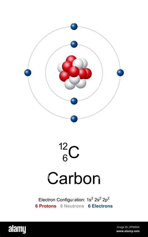 Carbon, atom model of carbon-12 with 6 protons, 6 neutrons and 6 electrons Stock Vector Image ...