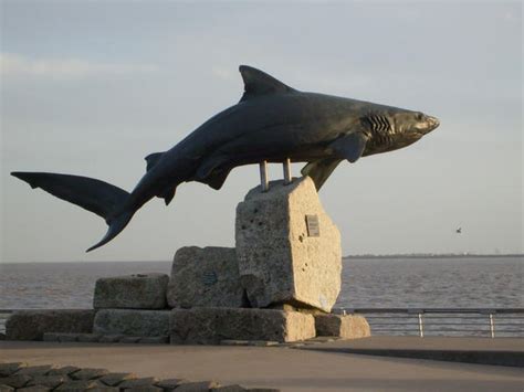 shark statue by Wisefodderboy on DeviantArt