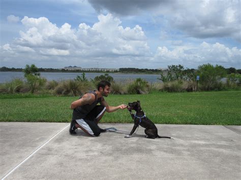 Outside training with your pet friend. See our customized outdoors training.