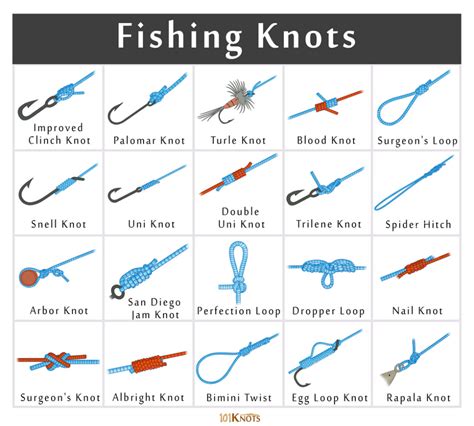 List of Different Types of Fishing Knots & How to Tie Them Trout Fishing Tips, Fishing Rigs ...