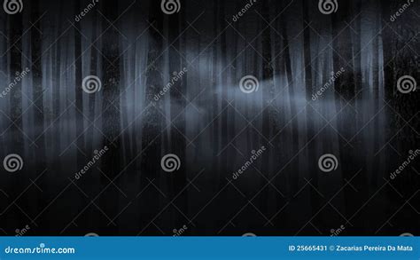 Foggy forest at night stock image. Image of forest, blue - 25665431