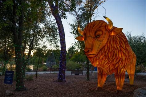 ZooLights 2023 at the Phoenix Zoo are shining. Here's a look