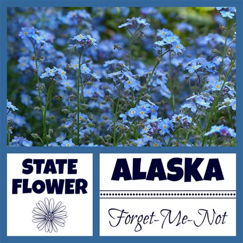 Alaska Facts Nickname The Last Frontier by USA Facts for Kids