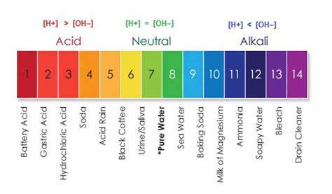 pH Scale - Pure Kopi Luwak