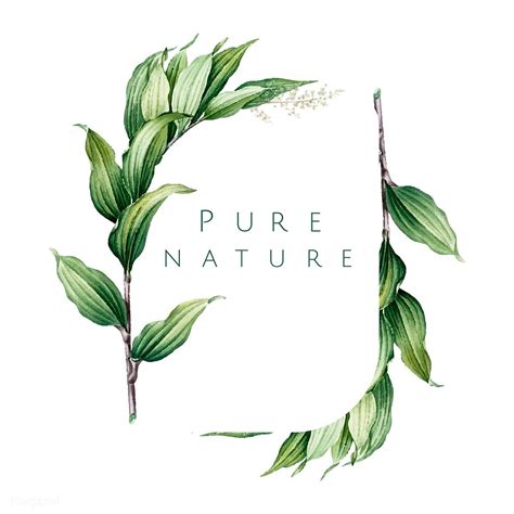 Pure nature logo design vector | free image by rawpixel.com / busbus Logo Nature, Nature Vector ...