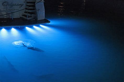 Underwater Dock Lighting