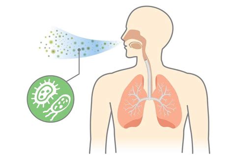 How Outdoor Airborne Particles Can Affect Your Health Indoors