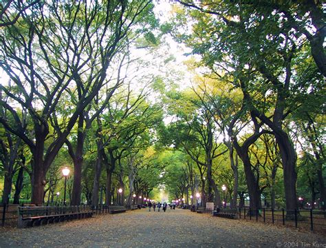 Life Around Us: New York: Central Park- The Most Romantic Place of New York