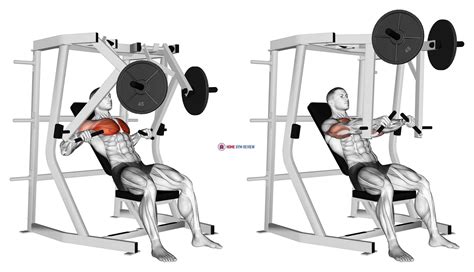 Lever Decline Chest Press - Home Gym Review