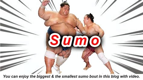 sumo is a 2,000-year-old history that is the national sport of Japan