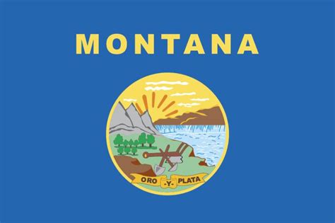 Montana Flag Wall Window Car Vinyl Sticker Vinyl Decal