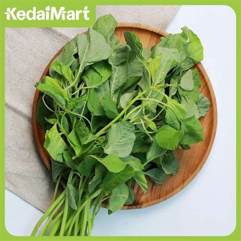 Promo Bayam Hijau 1 Ikat/ Sayur Daun Bayam Hijau/ Bayem Ijo Segar-KEDAIMART Diskon 27% di Seller ...