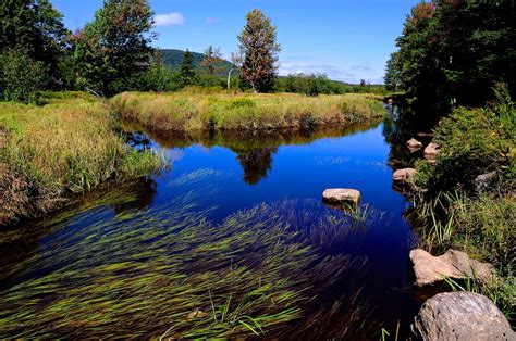 Canaan Valley Resort State Park WV (3hrs) | Canaan valley, State parks ...