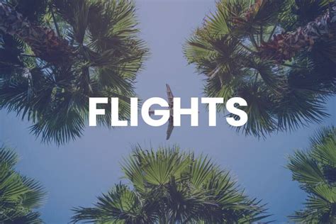 Flights | Curacao Airport (CUR)