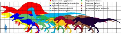 Carcharodontosaurus vs Tyrannosaurus Rex | carcharodontosaurus carcharodontosaurus ...