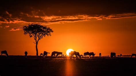 Kenya Sunrise Sunset Times