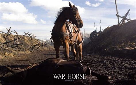 12 Emotional Scenes from the War Horse Movie