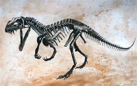 Ceratosaurus skeleton Painting by Harm Plat - Fine Art America