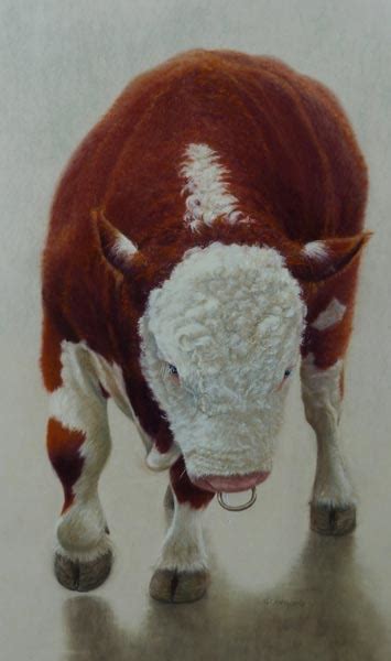 Hereford Bull - farm animal painting in pastel by Gillie Cawthorne