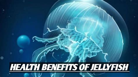 Shocking Health Benefits Of Jellyfish ! This is what eating jellyfish would do to your body ...