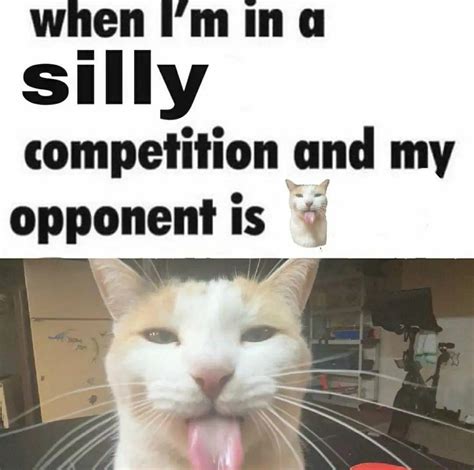 When I'm in a Silly Competition and My Opponent Is Bleh Cat | Silly ...