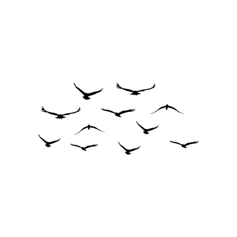 Group Of Birds White Transparent, Group Of Flying Birds, Flying Birds, Bird Png, Flying Clipart ...