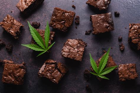 10 Cannabis Recipes to Try Using the SKILLR App — Skillr