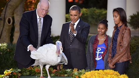 Presidential turkey pardon: Obama pardons 2012 National Thanksgiving turkeys Cobbler and Gobbler ...