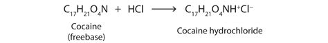 10.8: Amines as Bases - Chemistry LibreTexts