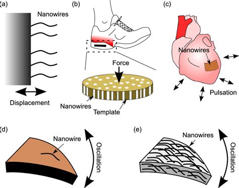 Examples of piezoelectric nanowires incorporated into nanogenerators... | Download Scientific ...