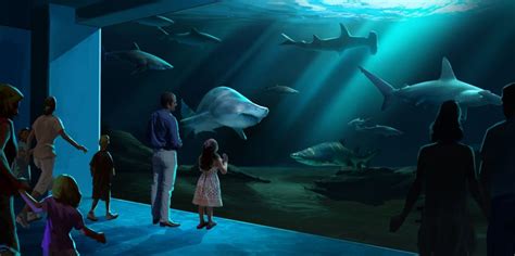 Georgia Aquarium Jumps Into the Shark Tank | Atlanta Jewish Times