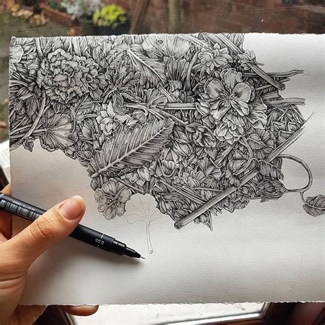 Pen And Ink Landscape Drawing Techniques - 30+ Pen And Ink Drawing Techniques Tips | Bodaswasuas
